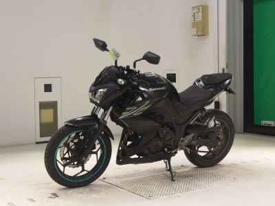 Kawasaki Z250 2013