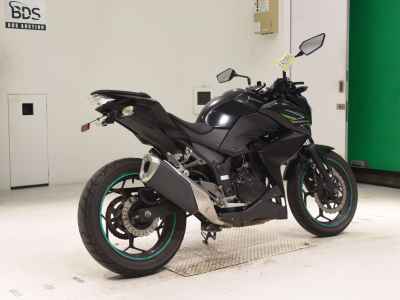 Kawasaki Z250 2013