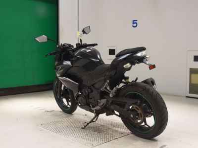 Kawasaki Z250 2013