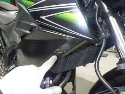 Kawasaki Z250 2013