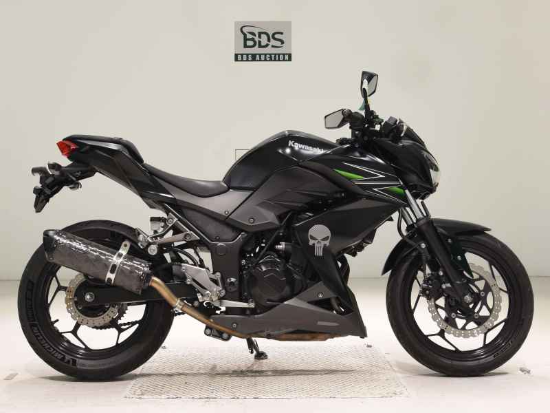 Kawasaki Z250 2013