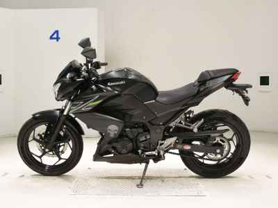Kawasaki Z250 2013