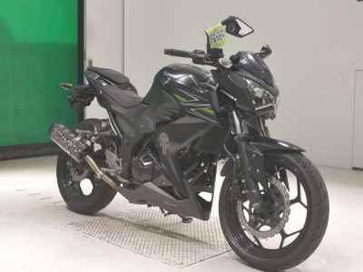 Kawasaki Z250 2013
