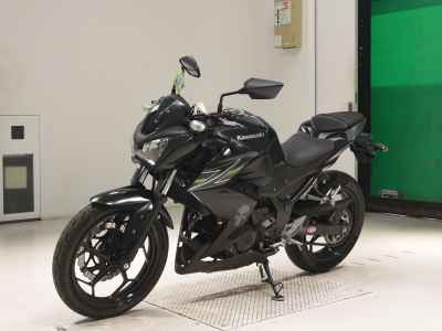 Kawasaki Z250 2013
