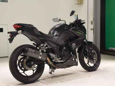 Kawasaki Z250 2013