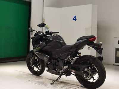 Kawasaki Z250 2013