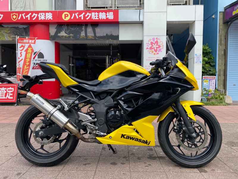 Kawasaki Ninja 250 2015