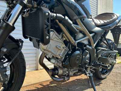Suzuki SV650X 2023