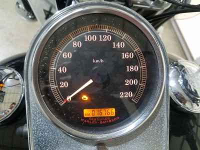 Harley-Davidson Heritage FLSTC 2006