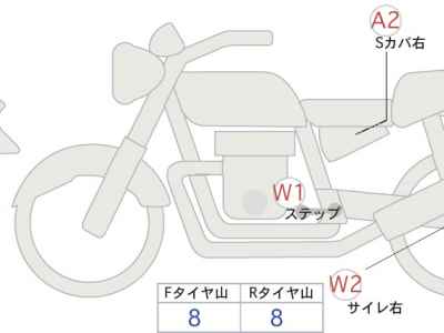 Suzuki V-Strom 250SX