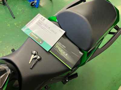 Kawasaki Ninja 1000SX 2020