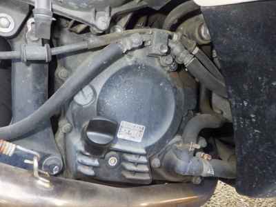 Honda Forza Z 2008