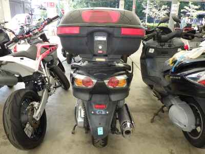 Honda Forza Z 2008