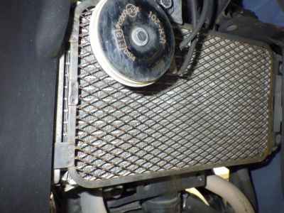 Suzuki GSX250R