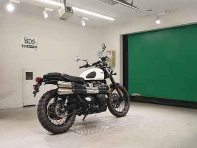 Triumph Street Scrambler 2019