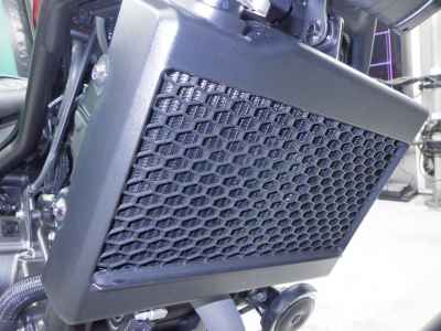 Honda Rebel 250S 2023