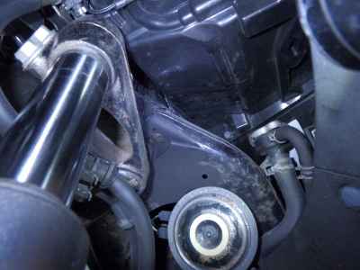 Honda Forza Z 2009