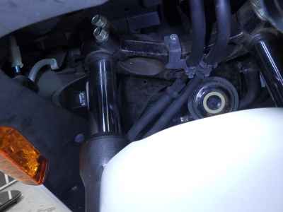 Honda Forza Z 2009