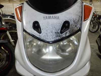 Yamaha Majesty 250C