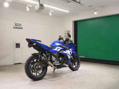 Suzuki GSX250R