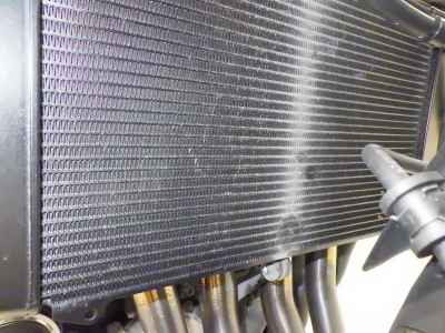 Honda CB1000 Hornet 2025