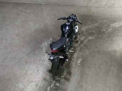 Kawasaki Ninja 250 2015