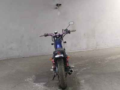 Suzuki GrassTracker Bigboy