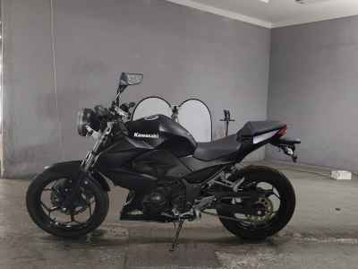 Kawasaki Z250 2014