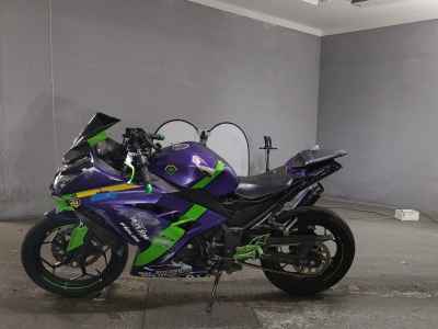 Kawasaki Ninja 250 2017