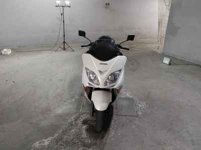 Honda Forza Z