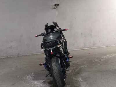 Kawasaki Ninja 1000 2018