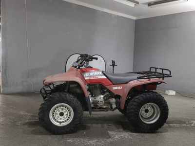 Honda TRX300FW 2018