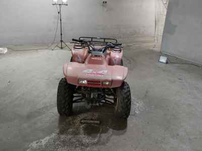Honda TRX300FW 2018
