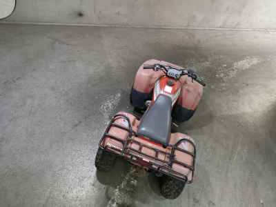 Honda TRX300FW 2018