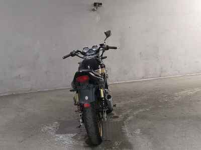 Kawasaki Balius ZR250