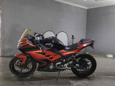 Kawasaki Ninja 250 2015
