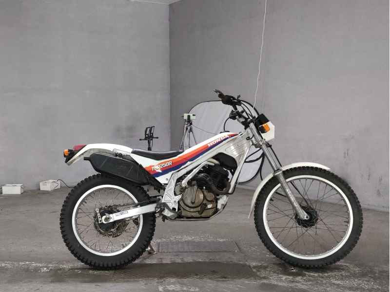 Honda TLR250R