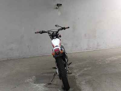 Honda TLR250R