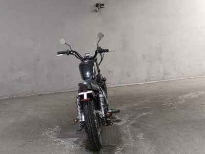 Kawasaki Estrella RS