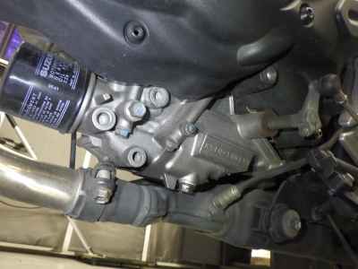 Suzuki Gladius SFV400 2010