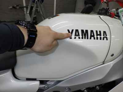 Yamaha XSR900 GP 2025
