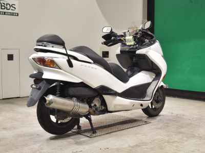 Honda Forza Z