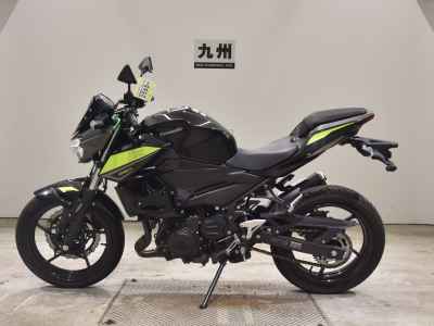 Kawasaki Z250 2022