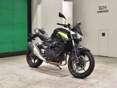 Kawasaki Z250 2022