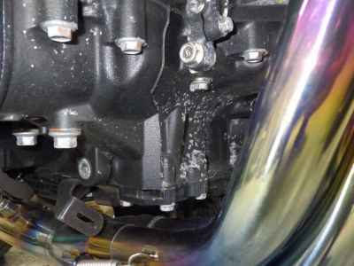 Kawasaki Z900RS Cafe 2021