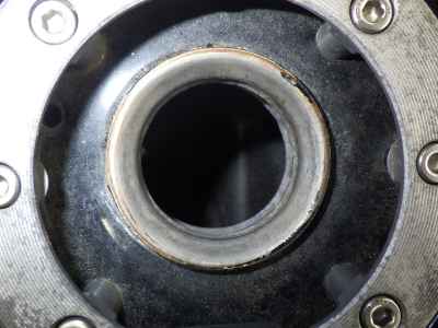 Suzuki Goose 250