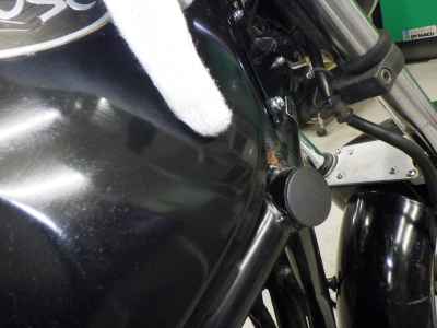 Suzuki Goose 250