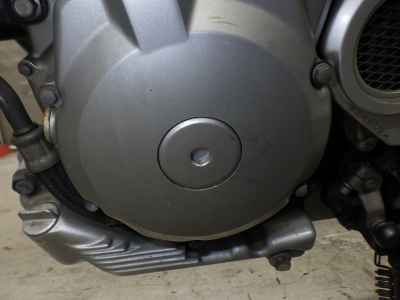 Suzuki Goose 250
