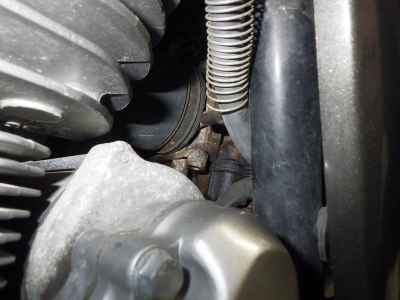 Suzuki Goose 250