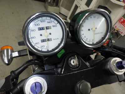 Suzuki Goose 250